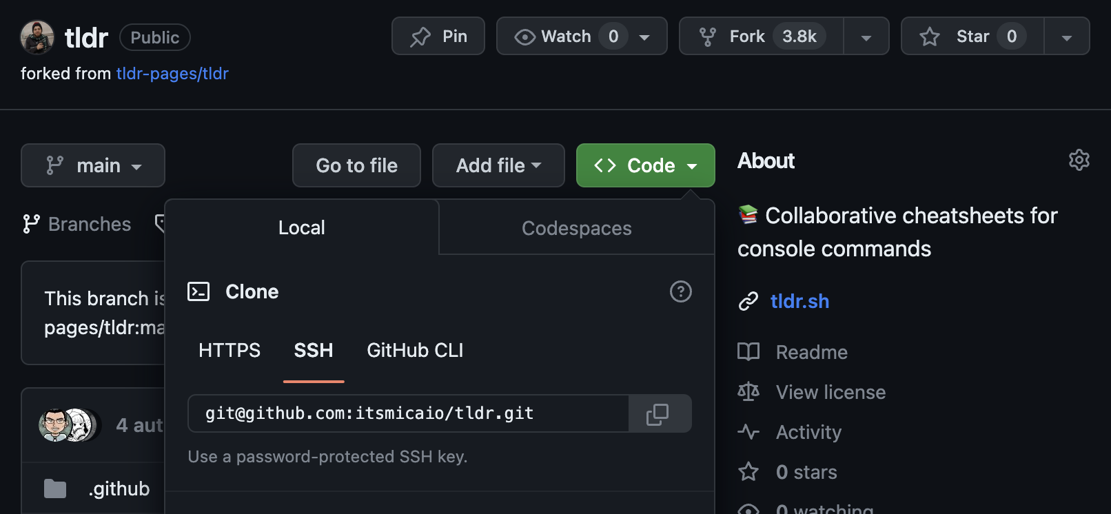 Painel do github exibindo o link do projeto